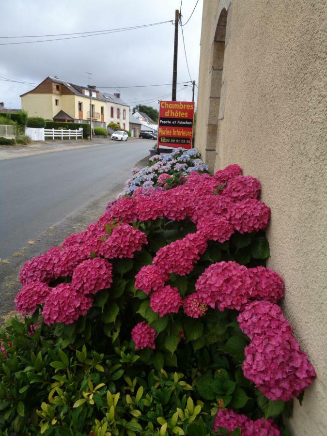 Saint-Martin-sur-Oust Popote Et Polochon B&B 외부 사진