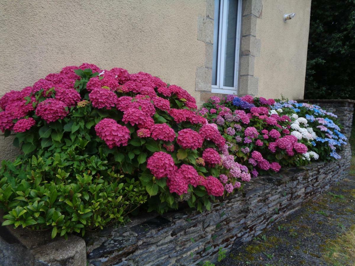 Saint-Martin-sur-Oust Popote Et Polochon B&B 외부 사진
